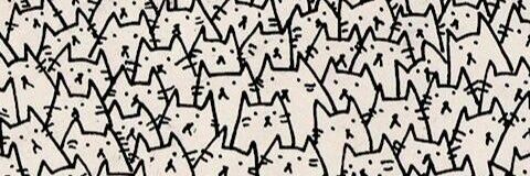 Laura_Bonor's profile banner image