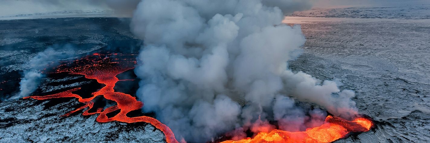 Atifaaaaa 🐝 Ⓥ🌱 banner