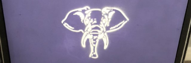 Paul James Young banner