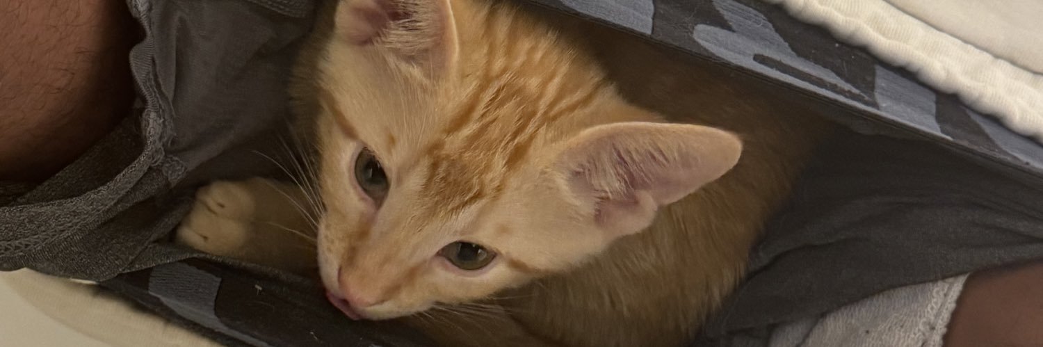 MDLtee's profile banner image