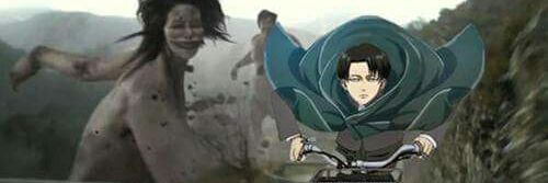 annlam6's profile banner image