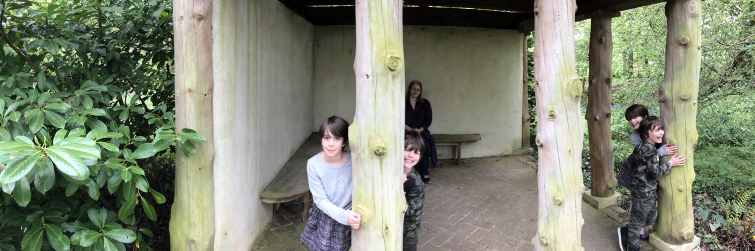 Cynical Monkey banner