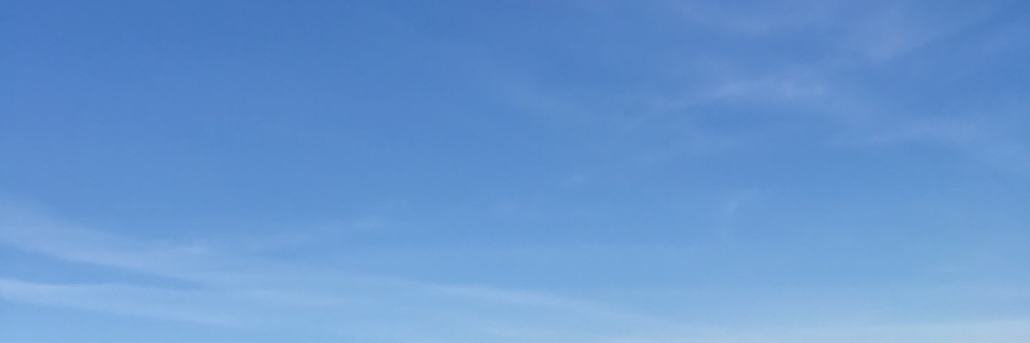 AmyBull86's profile banner image