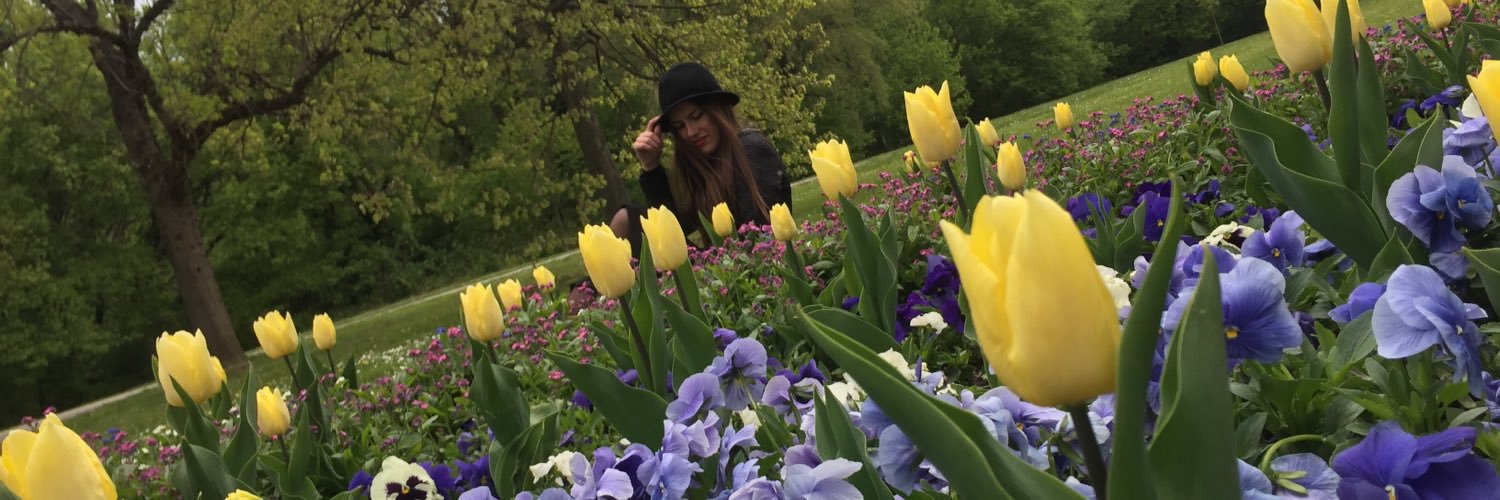santinisara98's profile banner image