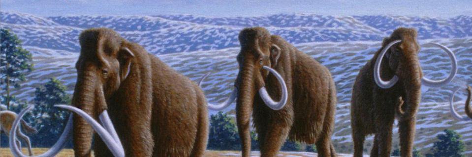 ProctorsType's profile banner image