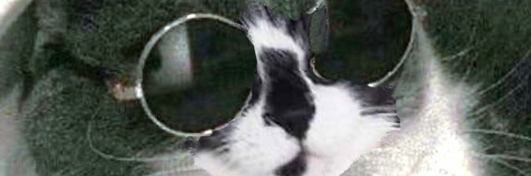 marfoglia's profile banner image