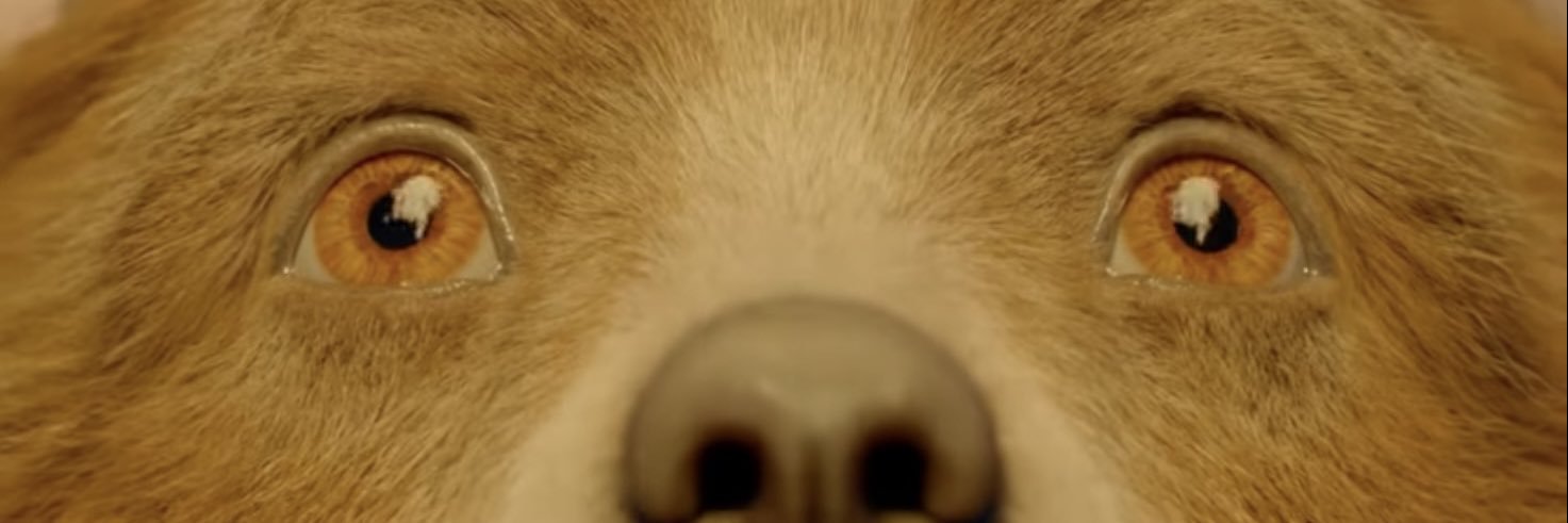 leocstgn's profile banner image