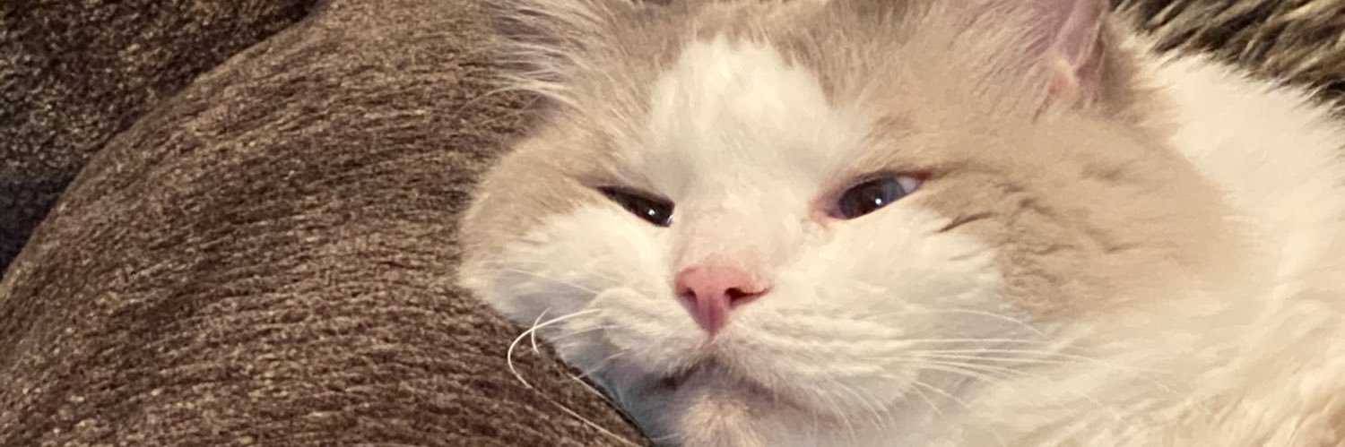 Freakshow62's profile banner image