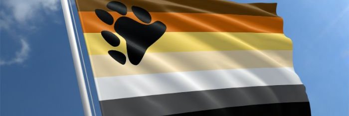 Bear82M's profile banner image