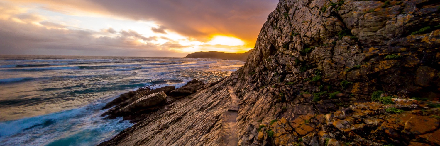 Robyn Hobson Hillhouse 🇿🇦 banner