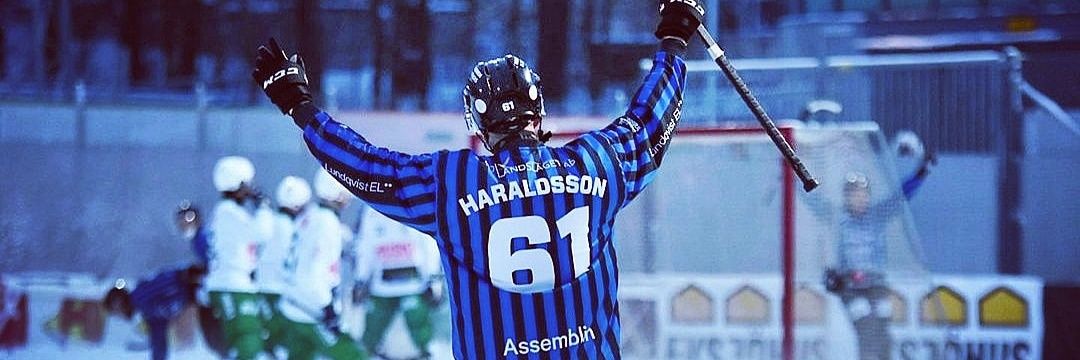Ted Haraldsson banner