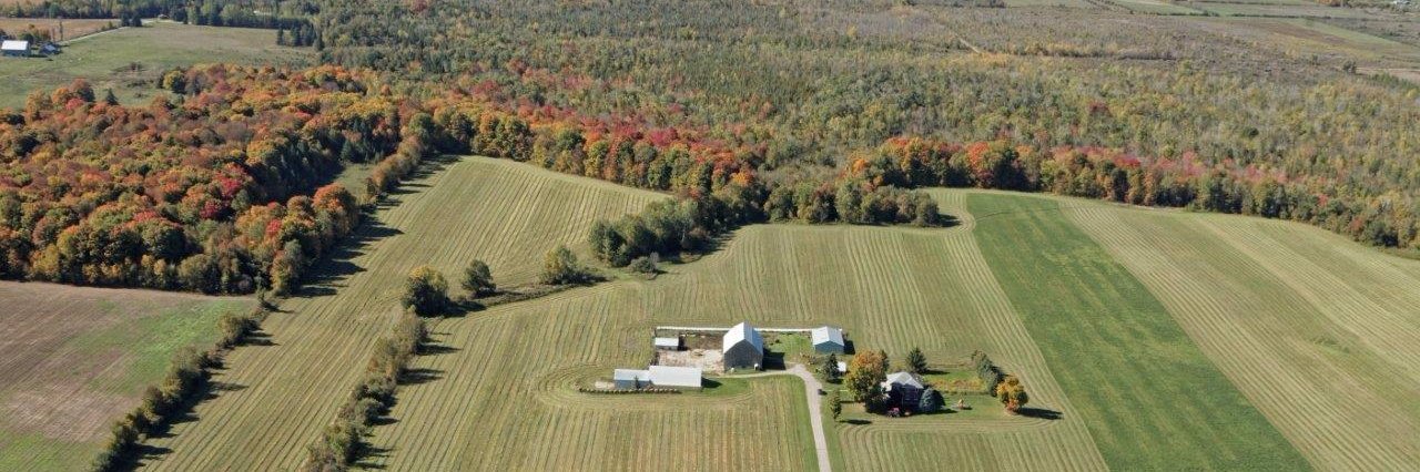 farmertorrey's profile banner image
