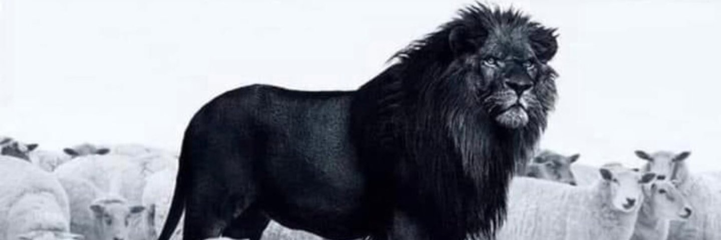 DeeCeeScott's profile banner image