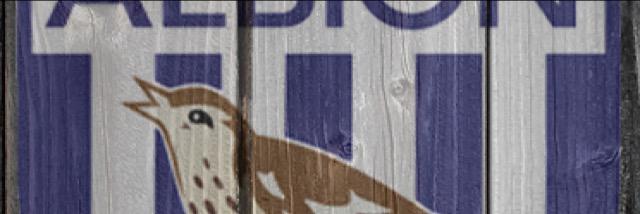 PeterHarrison24's profile banner image