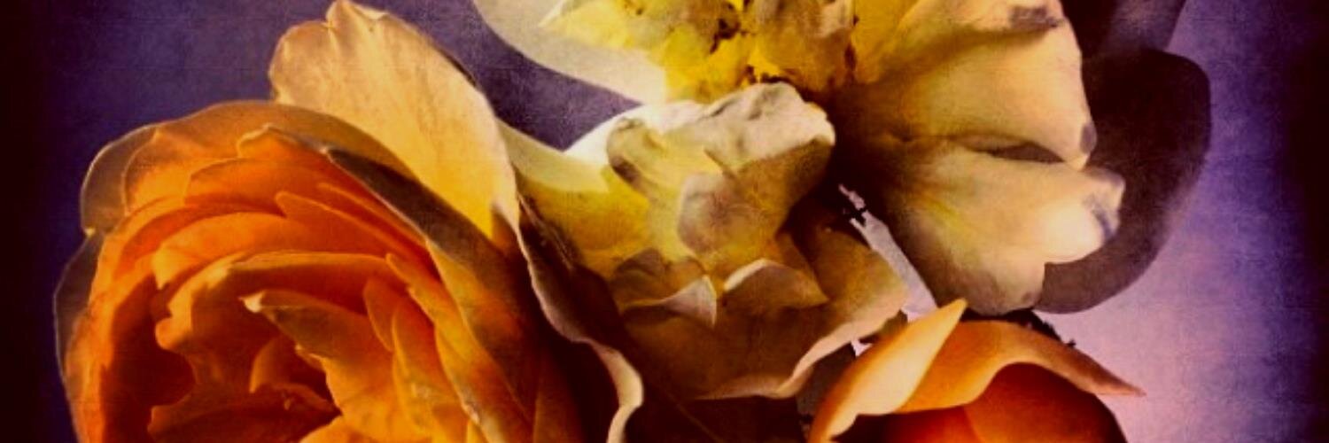 AkaWill's profile banner image