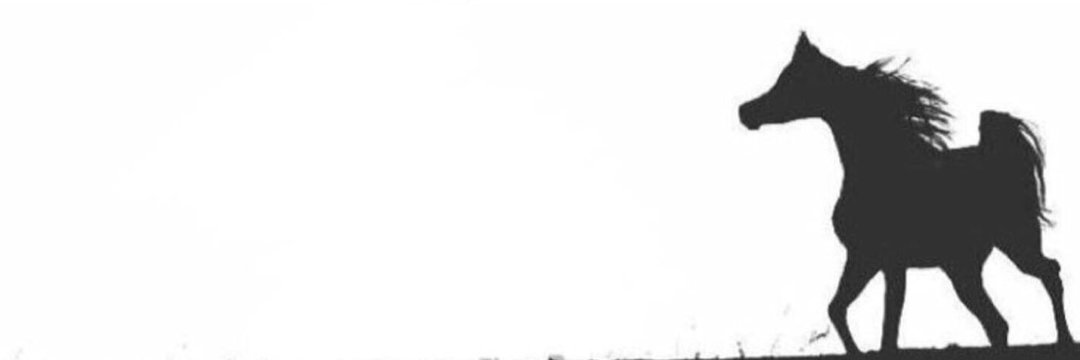 aa2021ad's profile banner image