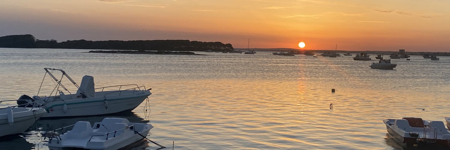 Silvana Vezzoli banner