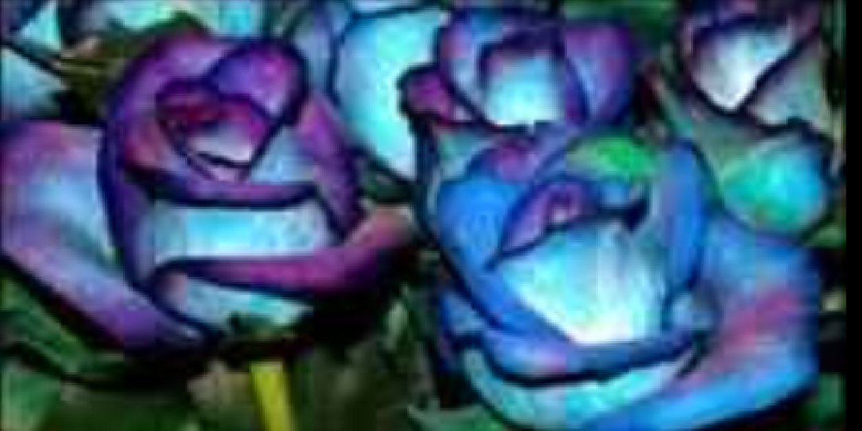 sarahstorie's profile banner image
