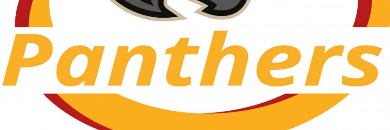 Panmure Panthers banner