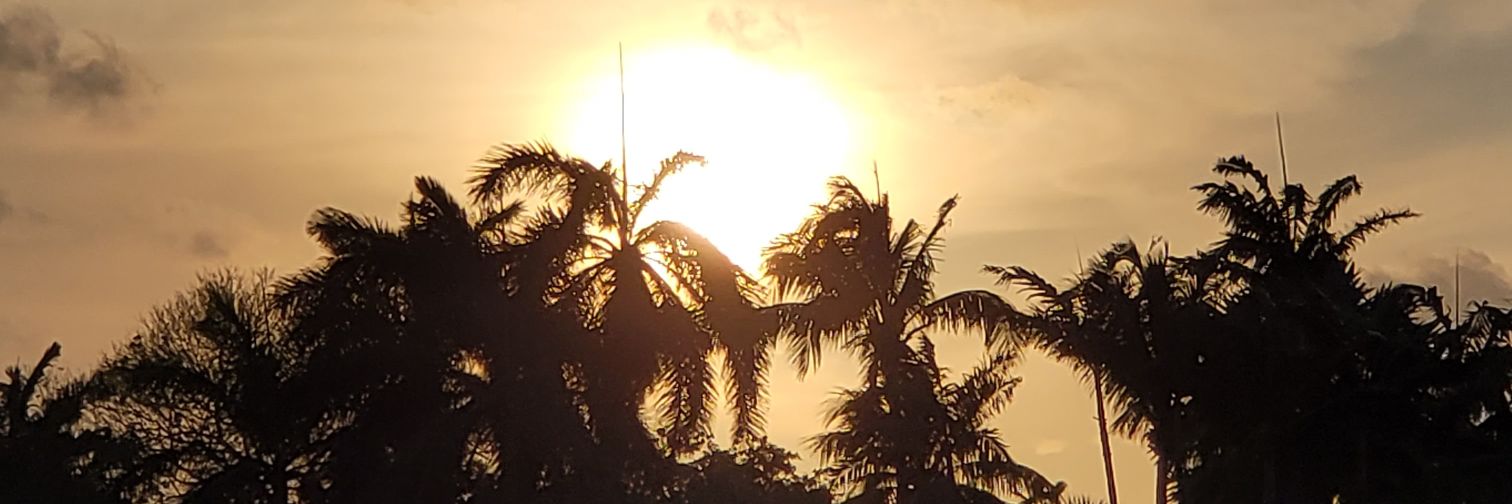 andremarcure's profile banner image