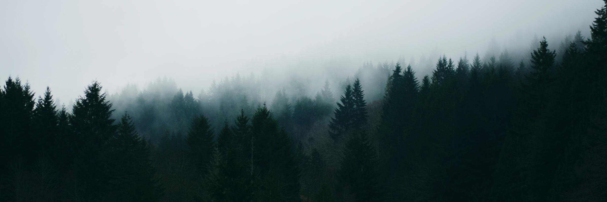 andreduartte_'s profile banner image