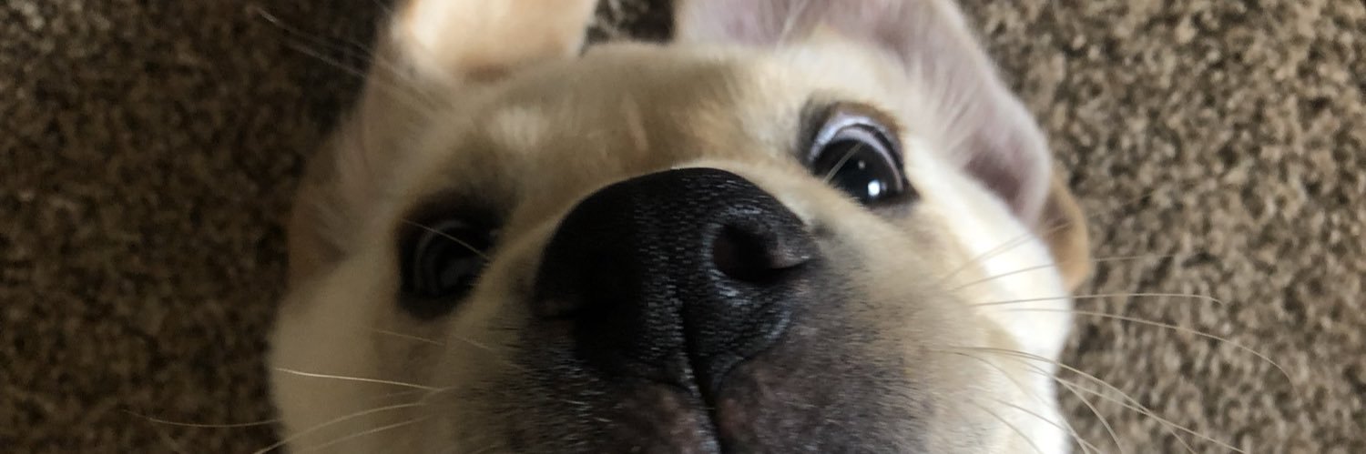 madd_brown's profile banner image