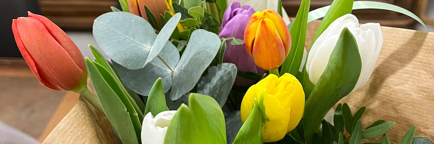 emmandrzejewski's profile banner image