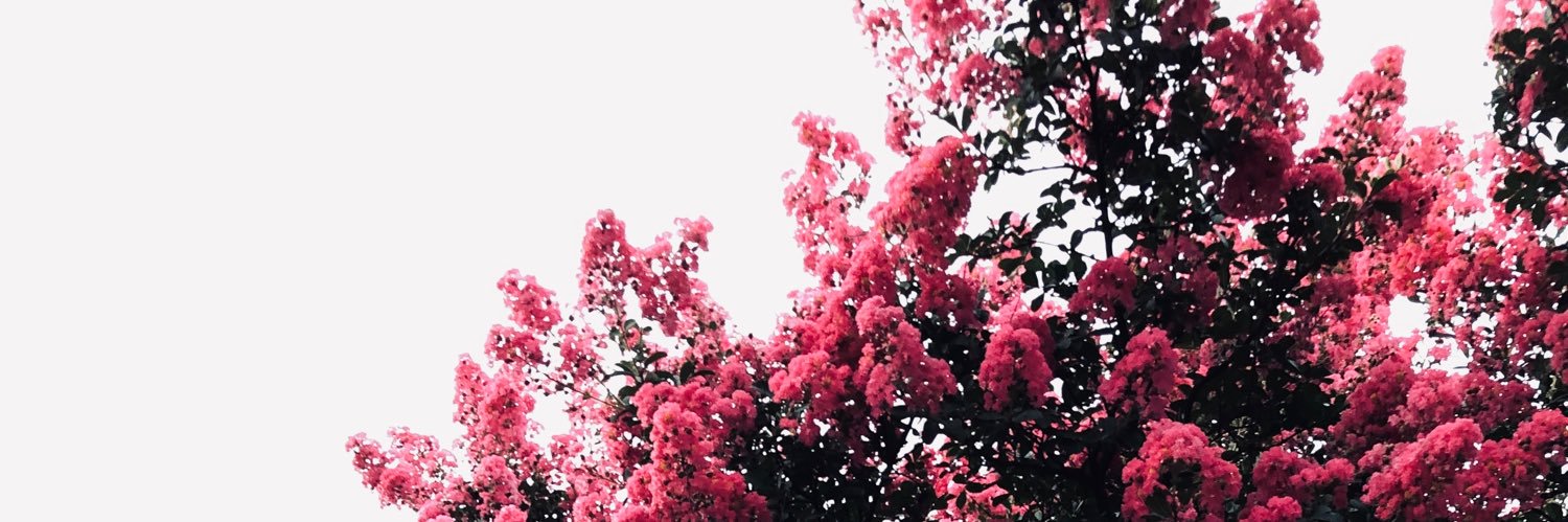 TheBeantoes's profile banner image