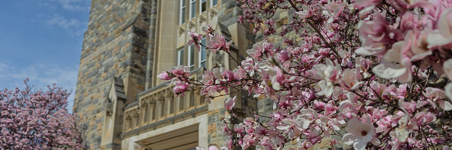 Pamplin College of Business banner