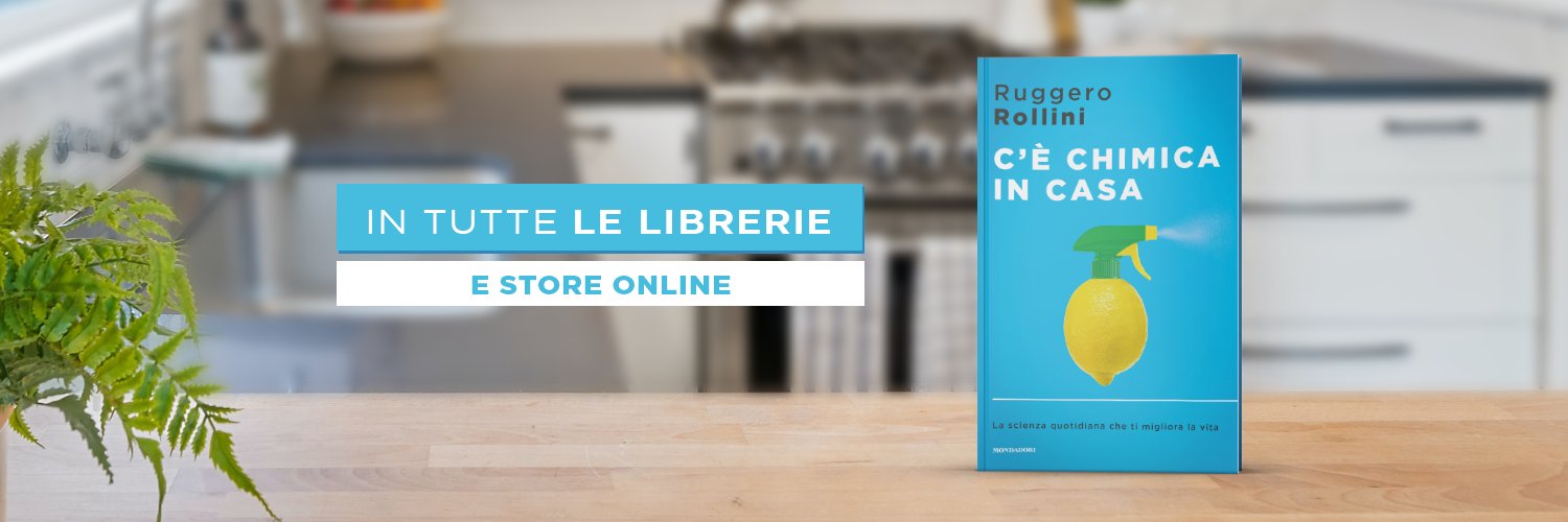 Ruggero Rollini banner