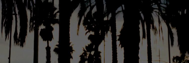 aritave's profile banner image