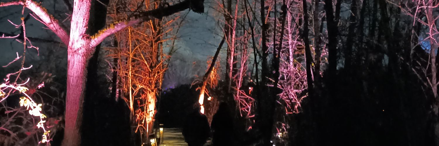 That Long-Haired Creepy Guy #BLM #TransRights banner