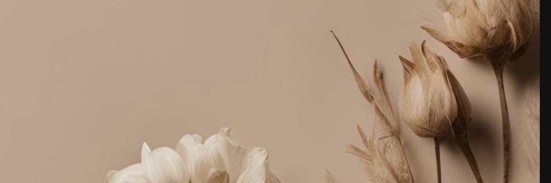 bchrdc's profile banner image