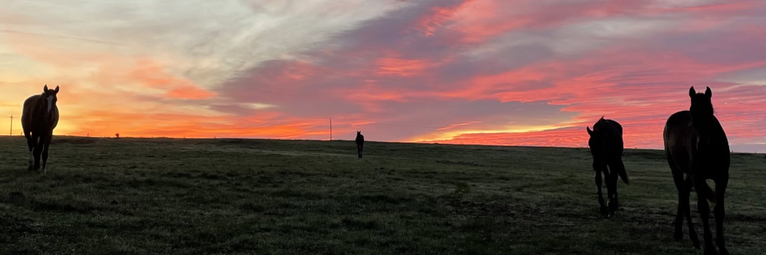 toeolcoth's profile banner image