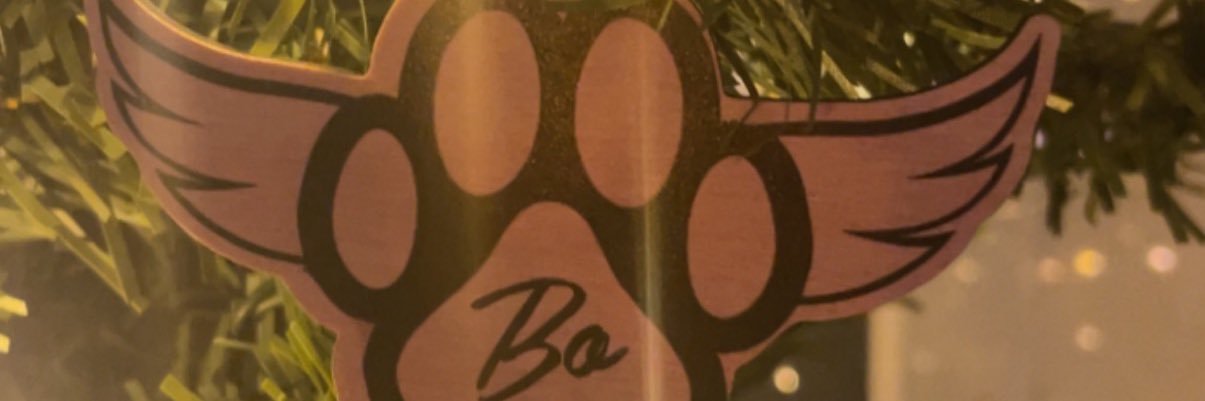 Stevierannae's profile banner image