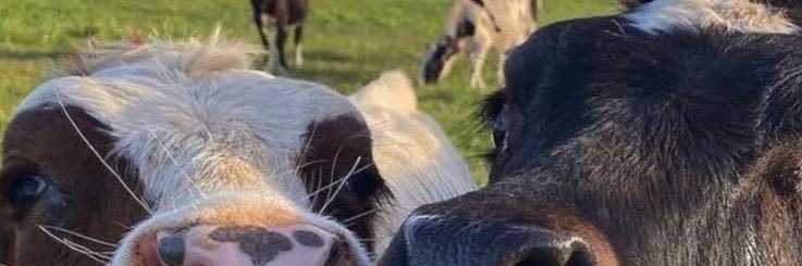 lufrannco_'s profile banner image