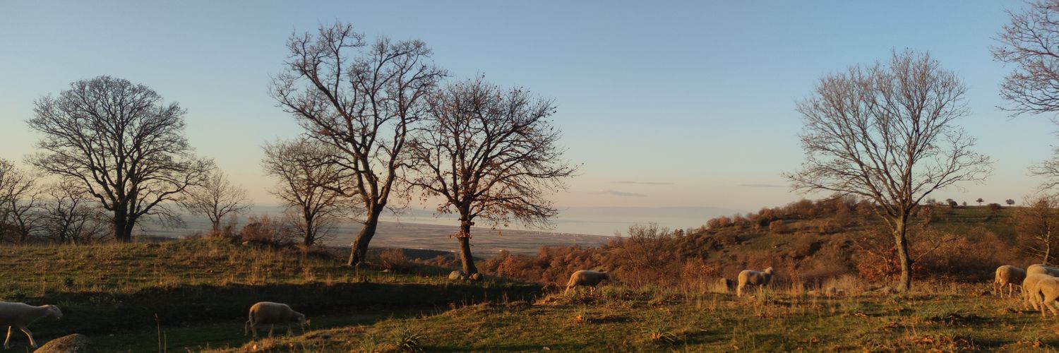 sevik_17's profile banner image