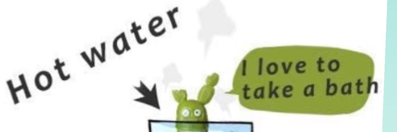 Cat_The_Noot's profile banner image