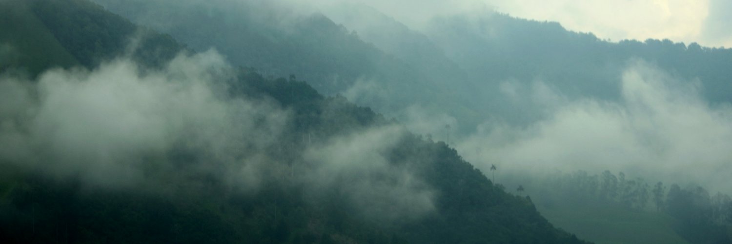 Pedro P. banner