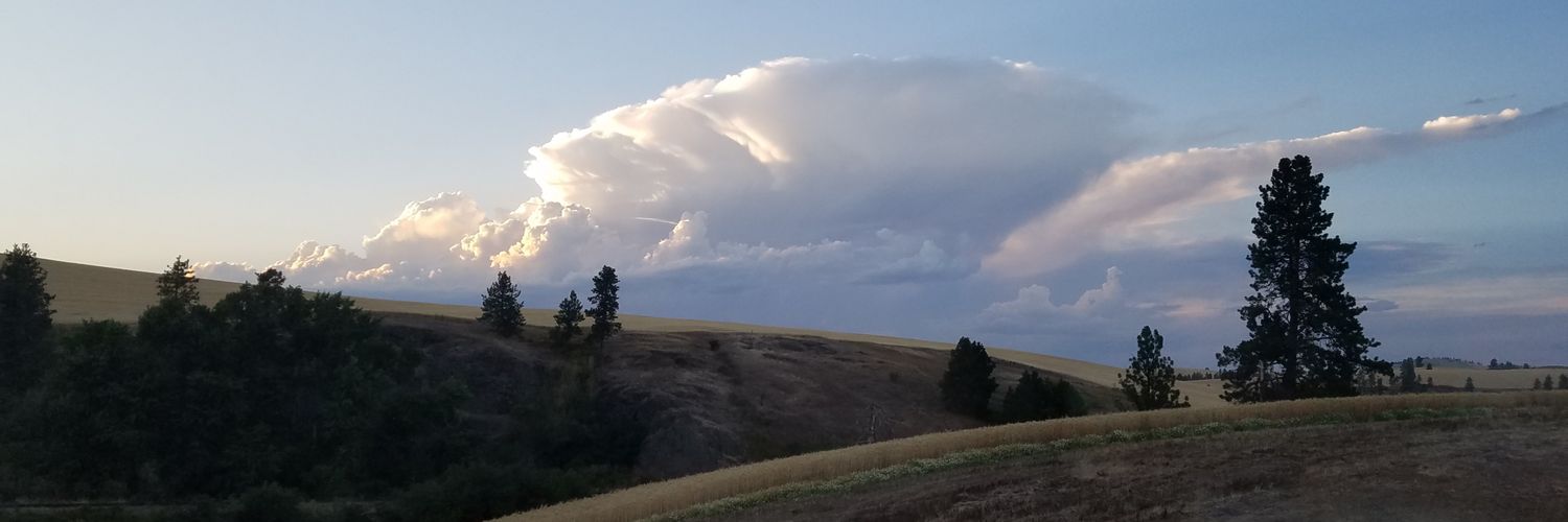 KellyBrantner's profile banner image