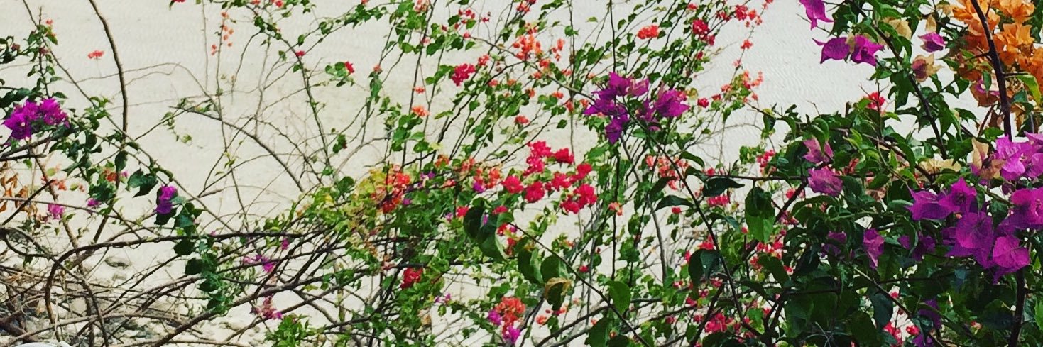 gildacamaggio's profile banner image