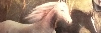 BrizuelaBeby's profile banner image