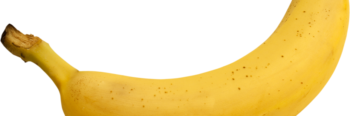thebathrobeman's profile banner image