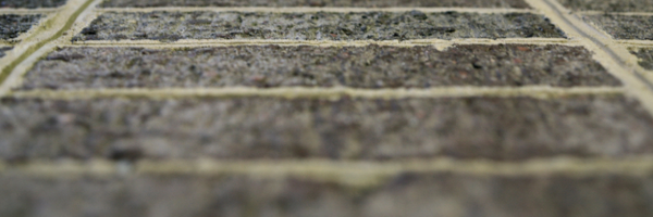 JDSLionsTale Profile Banner