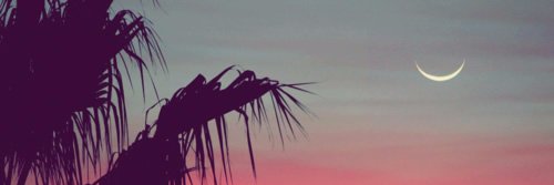 luanaps15's profile banner image