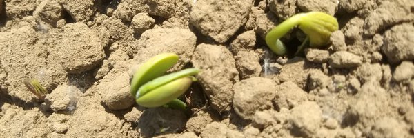 OlatzCI Profile Banner