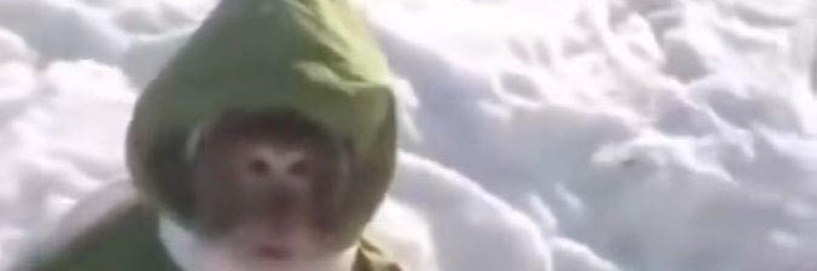 NoDripPapii's profile banner image