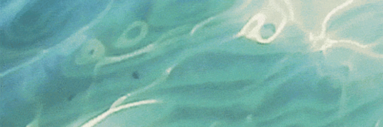 Coenstabel's profile banner image