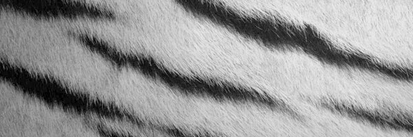 HammelGoHard Profile Banner