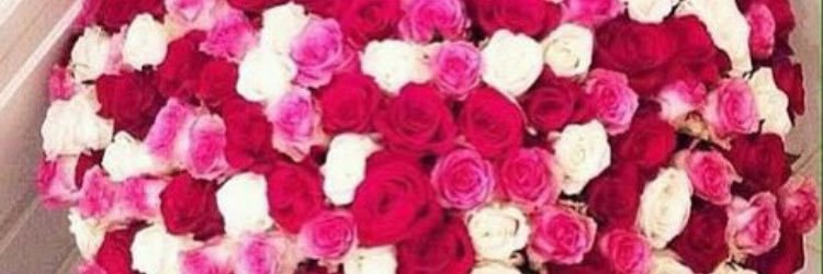 MarlyRBS's profile banner image